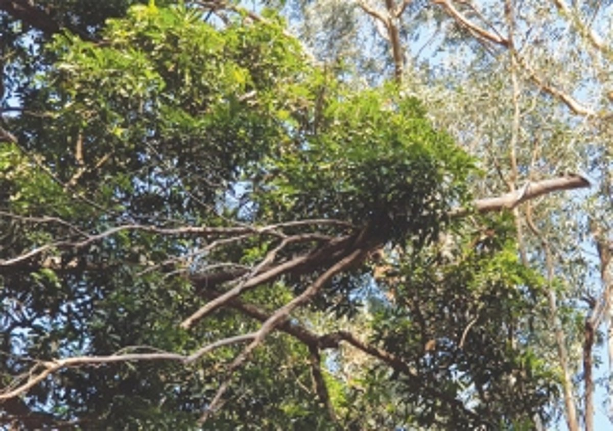 A very dangerous stretch on NH66 at Karmalghat