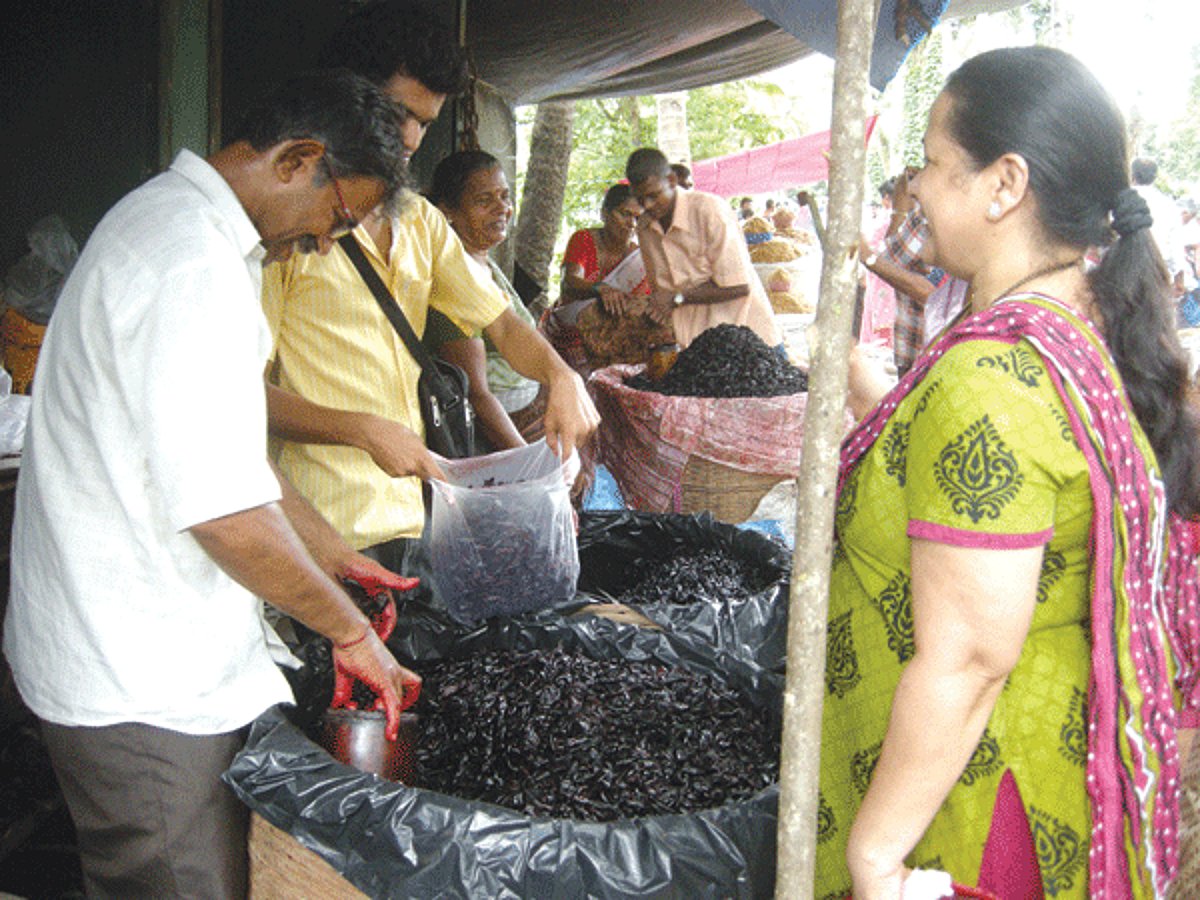 A woman purchasing provisions for the rains at the Purmettachem fest, at Margao on Sunday