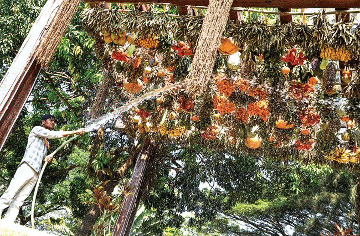 A worker sprays water on vegetables and fruits hung from the pargola as matoli in the ESG courtyard in Panjim.