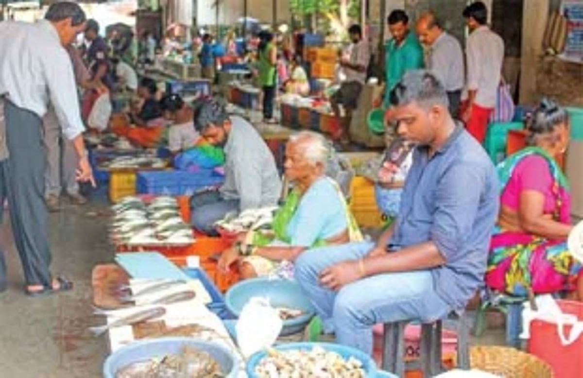 A ‘catch’ 22 situation?