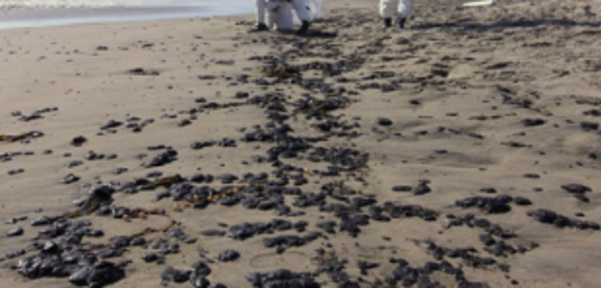 AAP, NCP volunteers clean tarballs from Benaulim, Colva beaches