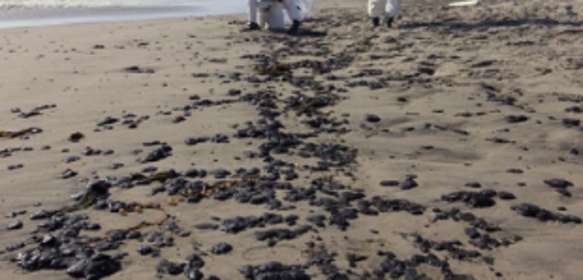 AAP, NCP volunteers clean tarballs from Benaulim, Colva beaches