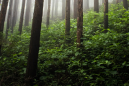 AGFEEA condemns Caranzol  locals for assault on officials