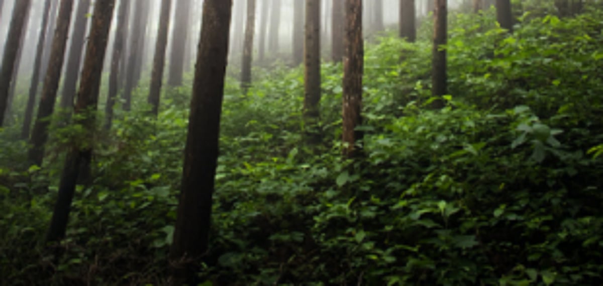 AGFEEA condemns Caranzol  locals for assault on officials