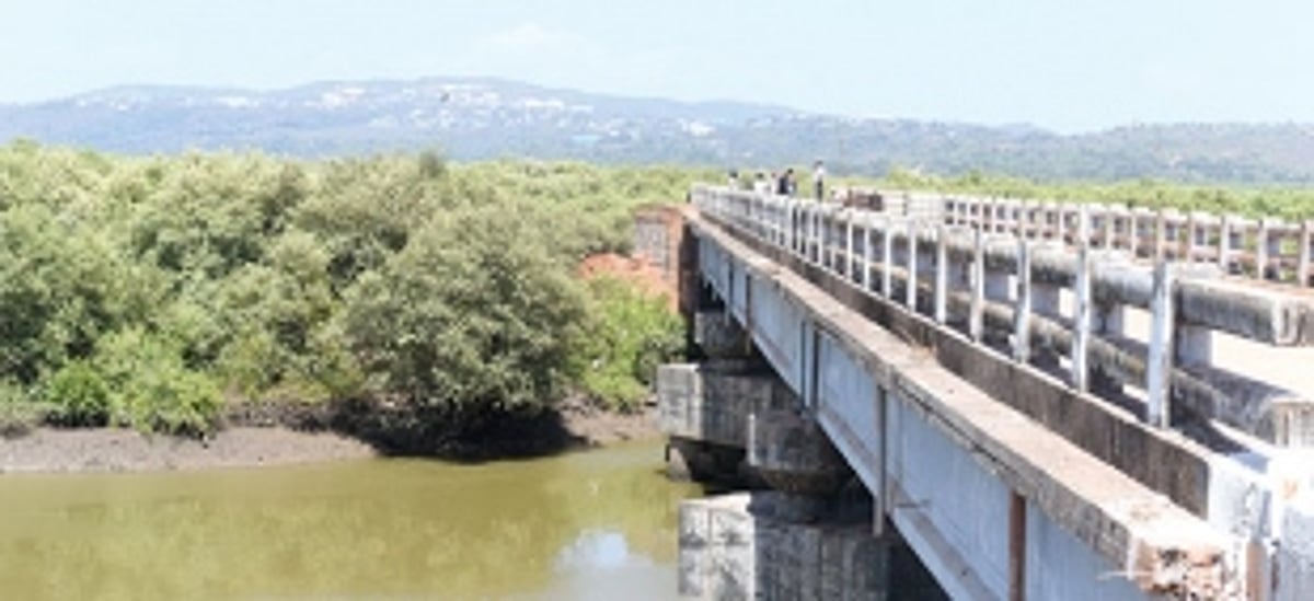 AGONISING WAIT FOR GOANS