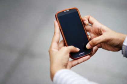 AHVS to launch app for reports against animal cruelty by 2023