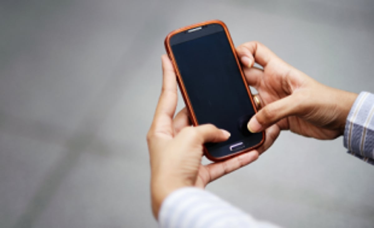 AHVS to launch app for reports against animal cruelty by 2023