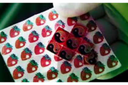 ANC Seizes Drugs Worth Rs. 16.5 Lakhs in Siolim Raid, Kerala Native Apprehended