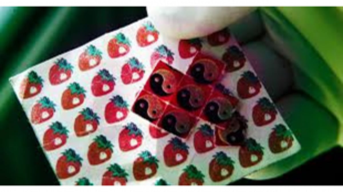 ANC Seizes Drugs Worth Rs. 16.5 Lakhs in Siolim Raid, Kerala Native Apprehended