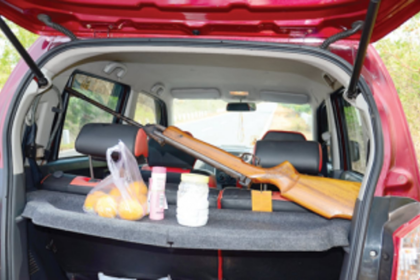 ARMS, AMMUNITION, DRUGS, EXPLOSIVES CAN BE MOVED INTO GOA WITH NO ONE LOOKING