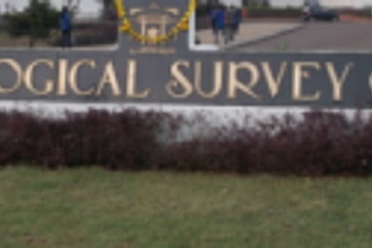 ASI blames various factors for delay in Basilica repair work