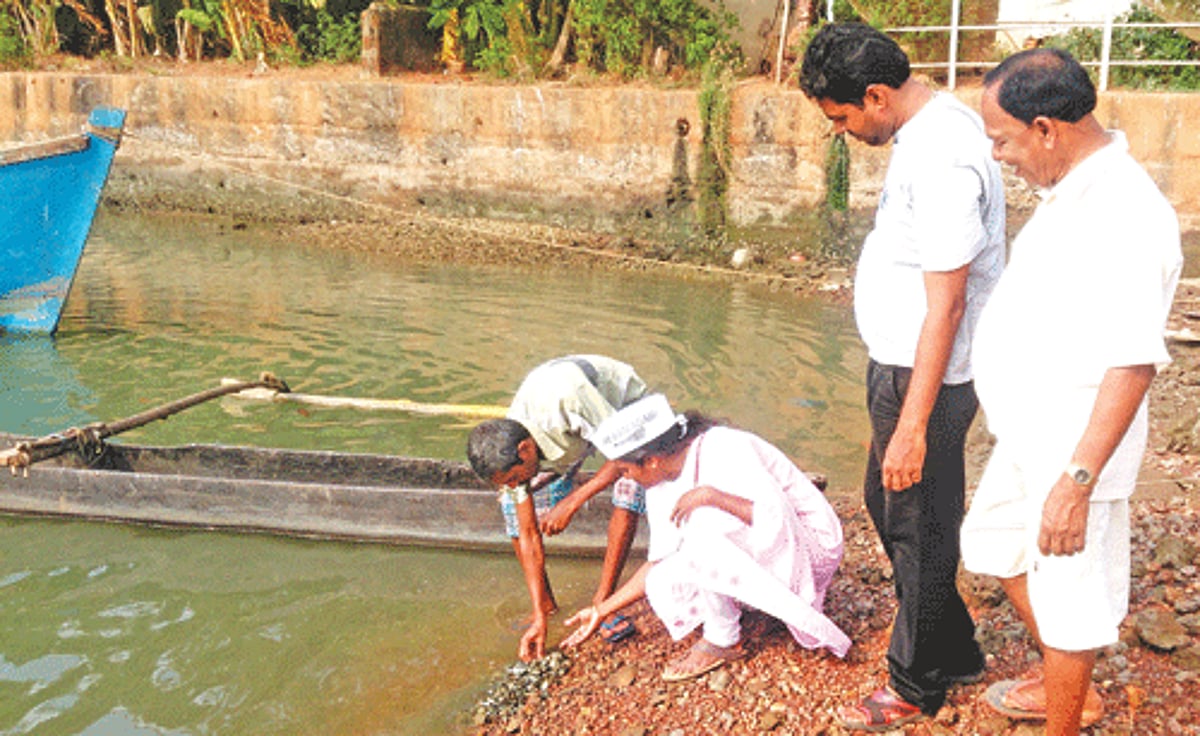 Aam Aadmi Party leader Swati Kerkar takes a close look at the clam affected by an unknown pollutant at Betul.