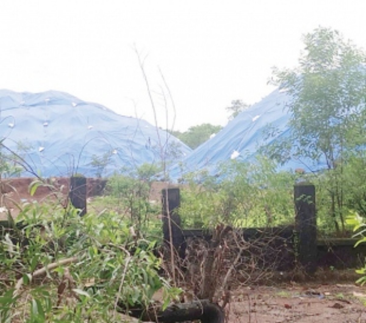 Abandoned industry chemical waste lingers threat