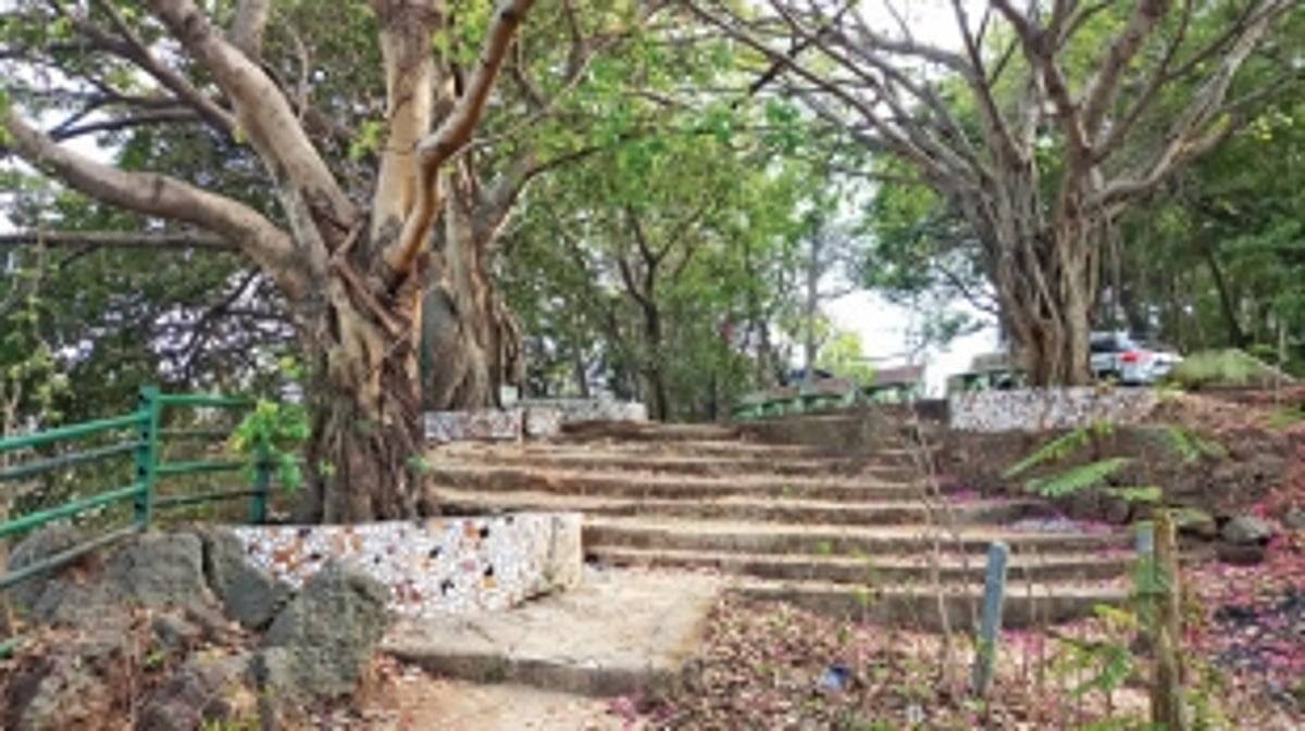 Abandoned ‘Pilot Point’ crying for attention