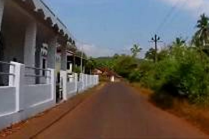 Accident-prone turn  near Olaulim cemetery