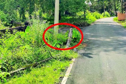 Accident risk: Remove old electricity poles on roadsides, Chinchinim P’yat urges Power Dept