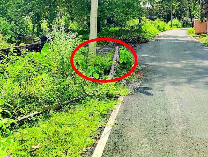 Accident risk: Remove old electricity poles on roadsides, Chinchinim P’yat urges Power Dept 1 Accident risk: Remove old electricity poles on roadsides, Chinchinim P’yat urges Power Dept