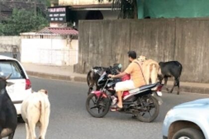 Accountability for safer roads