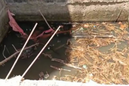 Accumulated water in a tank at Vasco turns into a thriving breeding ground for mosquitoes