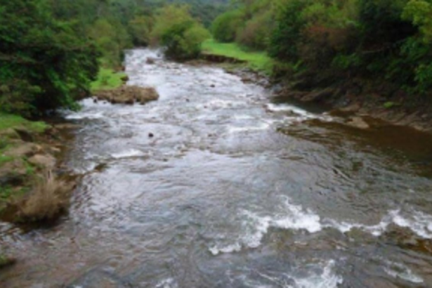 Act fast and decisively on Mhadei