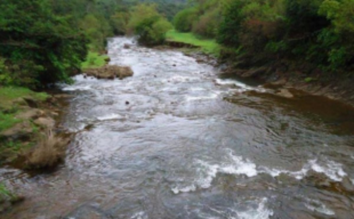 Act fast and decisively on Mhadei