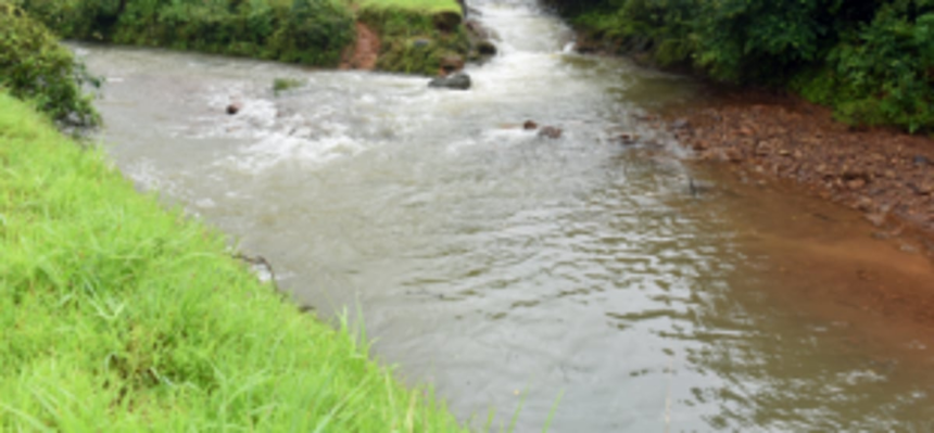 Acted on ‘govt instructions’ on Mhadei notification: Counsel