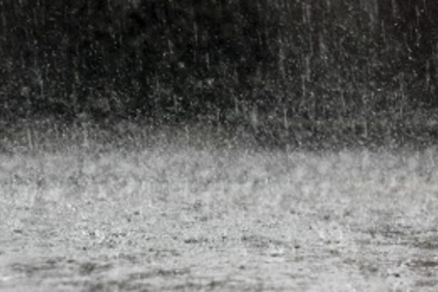 Action plan for climate change warns of all key sectors being impacted