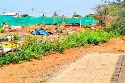 Activist to move NGT over tourism dept’s turtle site plan