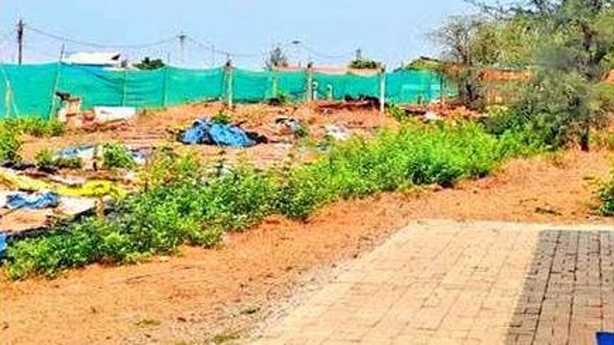 Activist to move NGT over tourism dept’s turtle site plan