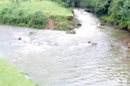 Activists Allege Mhadei River Being Diverted for Steel Lobby, Not Drinking Water