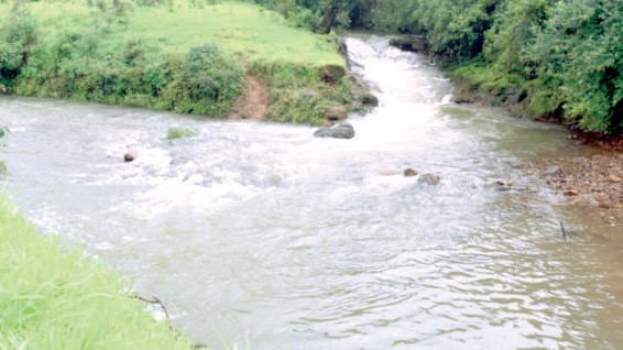 Activists Allege Mhadei River Being Diverted for Steel Lobby, Not Drinking Water