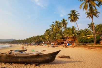 Activists Demand Comprehensive Development Plan to Save Goa's Unique Character
