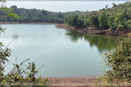Activists Warn of Severe Biodiversity Threats Due to Construction at Bondval Lake Wetland