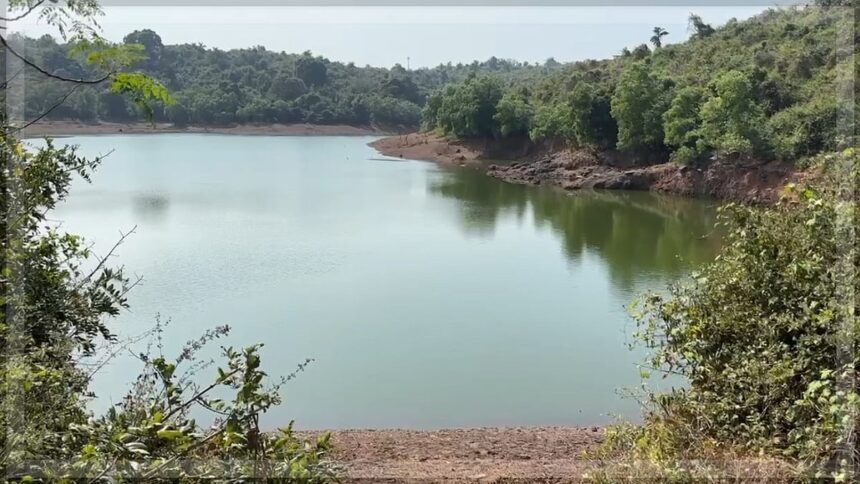 Activists Warn of Severe Biodiversity Threats Due to Construction at Bondval Lake Wetland