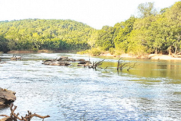 Activists gherao education official over diktat to teachers, students on Mhadei issue