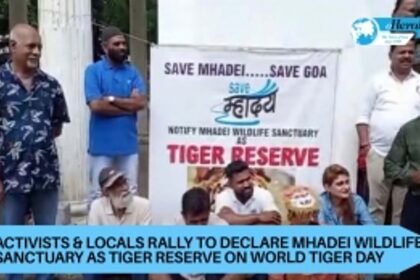 Activists & locals rally to declare Mhadei Wildlife Sanctuary as tiger reserve on World Tiger Day