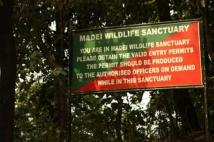 Activists protest in city, want govt to notify Mhadei Sanctuary as Tiger Reserve