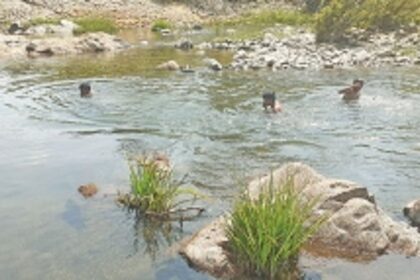 Activists slam Goa govt for ‘soft approach’ on Mhadei water dispute