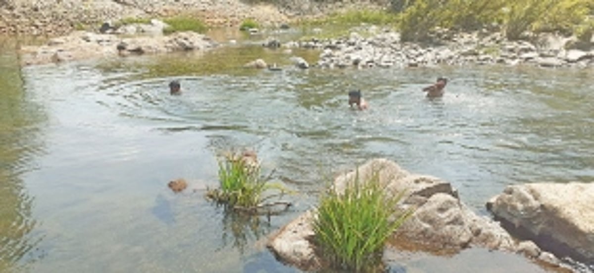 Activists slam Goa govt for ‘soft approach’ on Mhadei water dispute