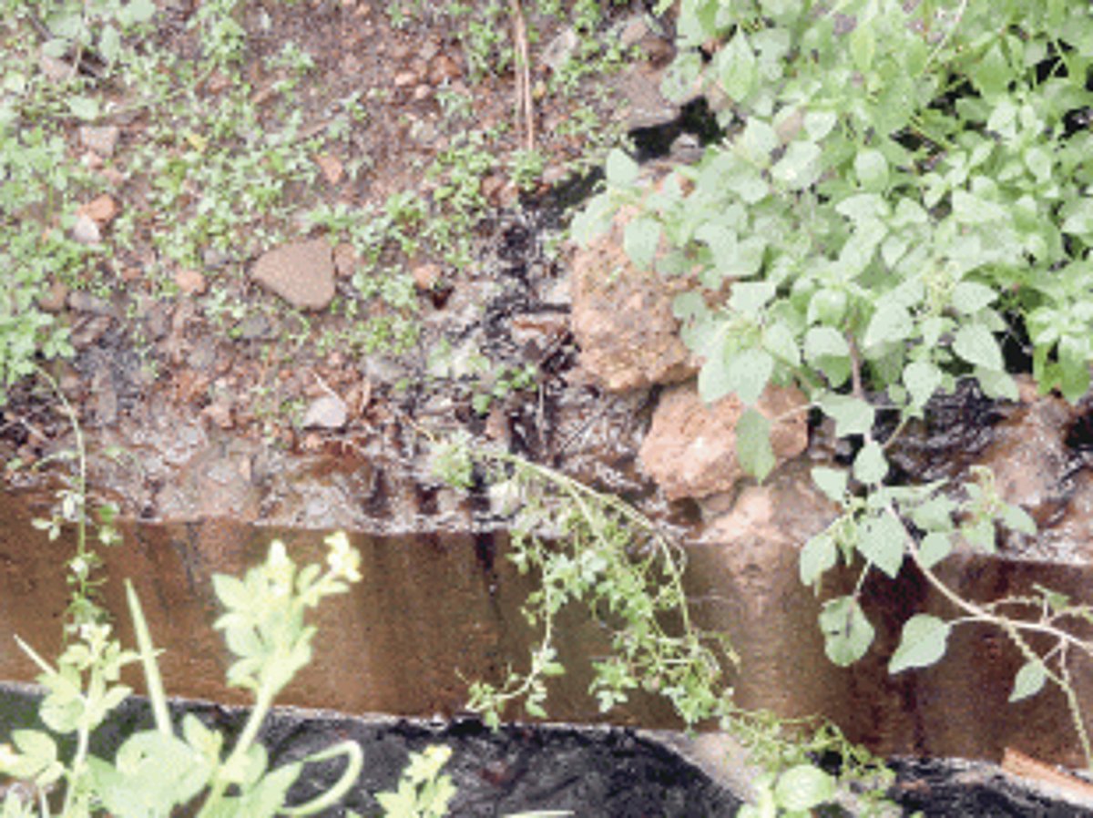 Activists urge Margao citizens to lead uprising against Sonsoddo