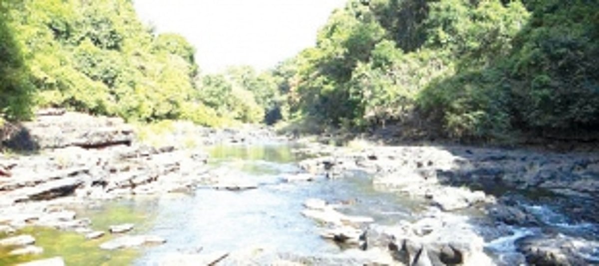 Activists voice concern over Herald TV exposé  on illegalities in Mhadei Wildlife Sanctuary