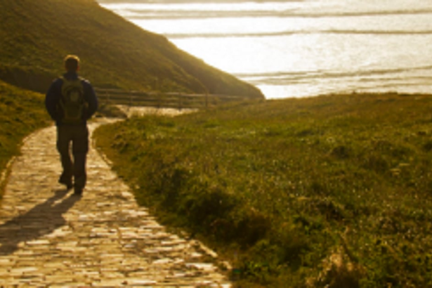 Adapt to change and continue success journey
