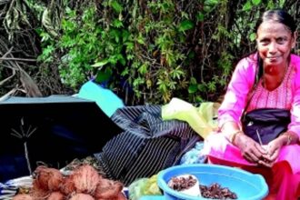 Adelina’s garden of sun-dried delights:  A retiree’s quest to promote forgotten flavours