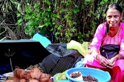 Adelina’s garden of sun-dried delights:  A retiree’s quest to promote forgotten flavours