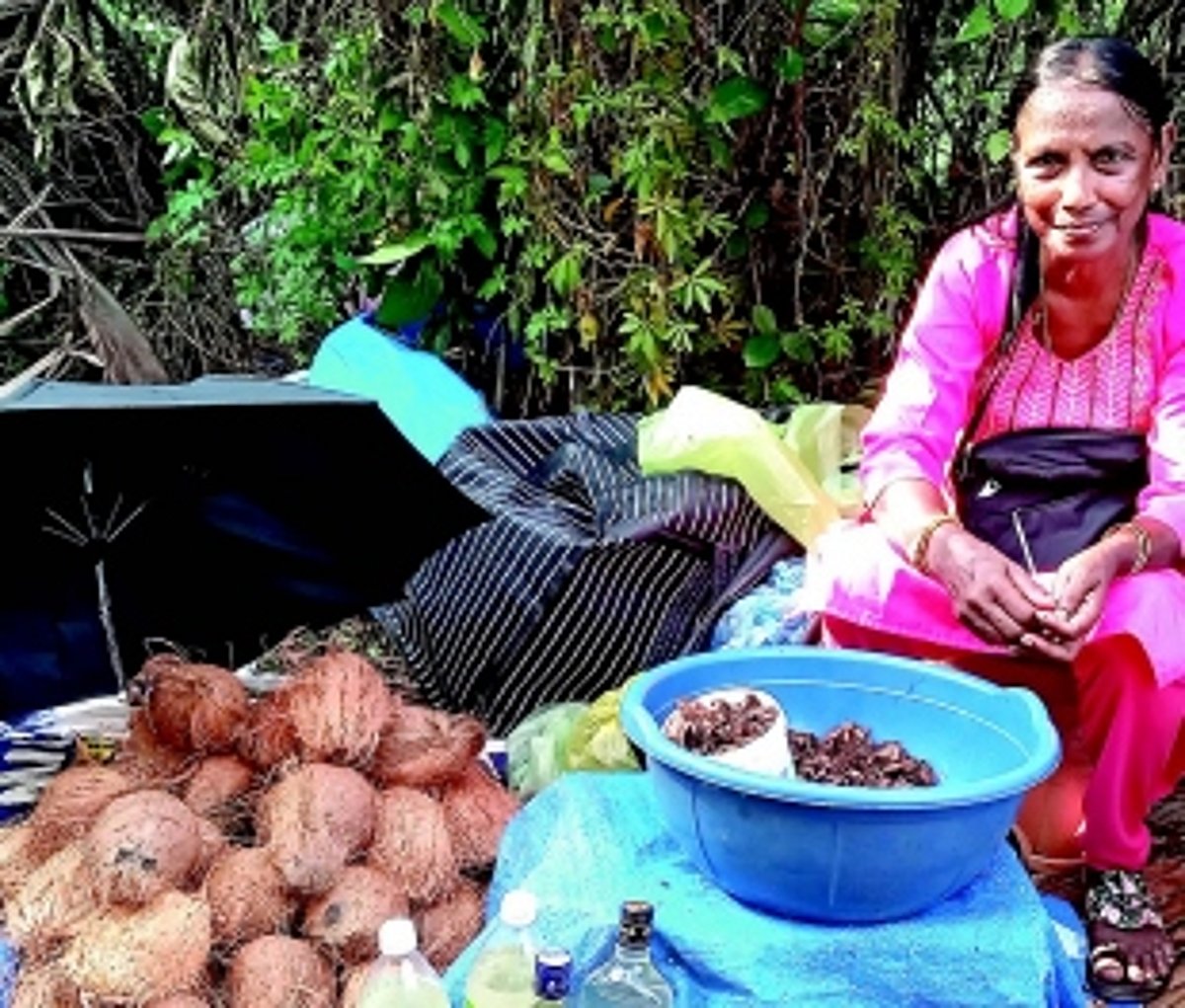 Adelina’s garden of sun-dried delights:  A retiree’s quest to promote forgotten flavours