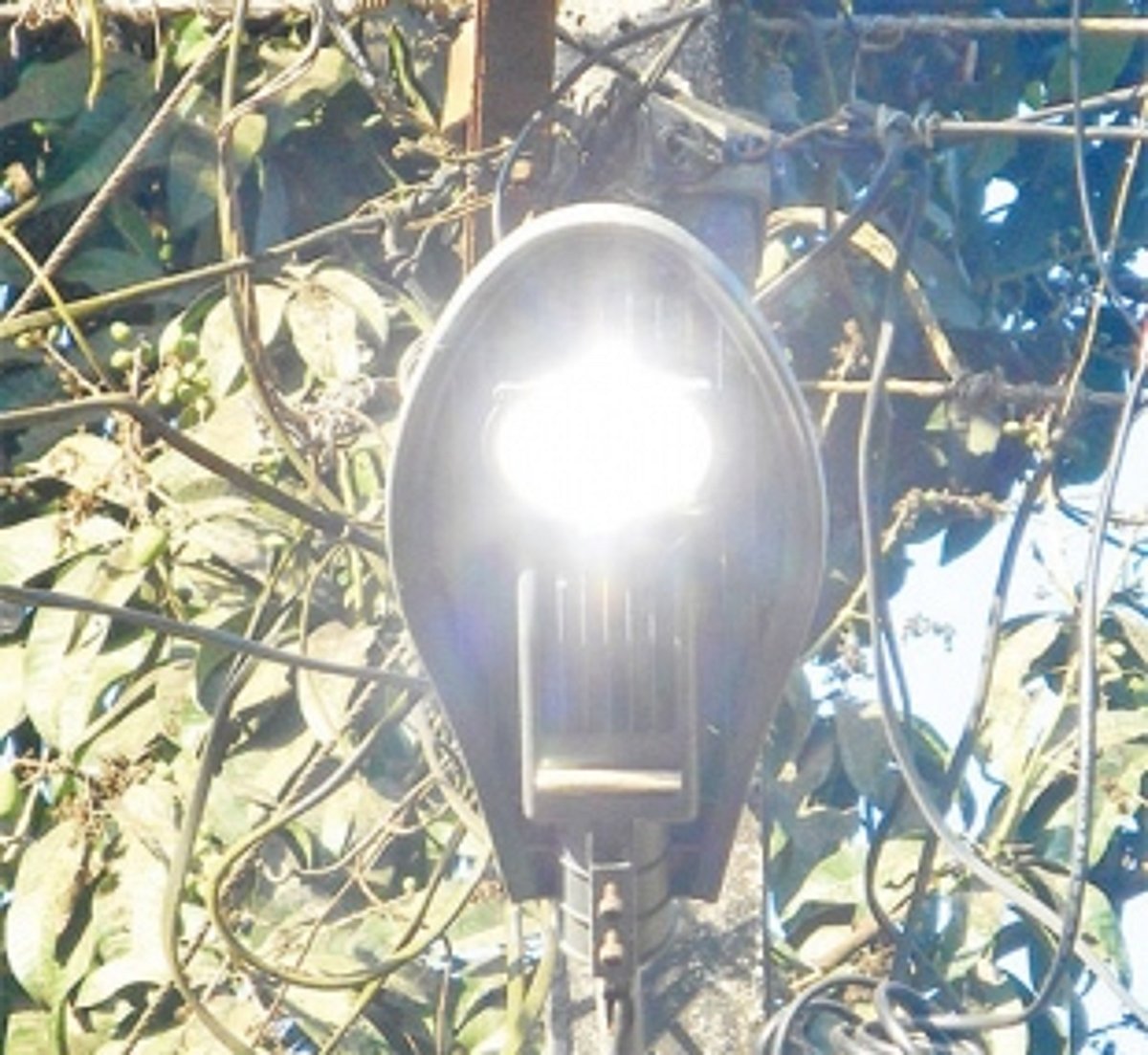 Adhere to streetlight timing to avoid wastage of power supply