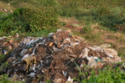 Affected by hyacinth, field at Nuvem  turns into waste dumping ground!
