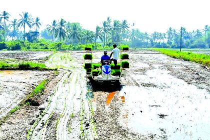 After 25 years, Nuvem farmers take up cultivation of 50,000 sq mts of land
