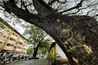 After Aarti Gond’s death, forest dept, CCP wake up from deep slumber, mark dangerous trees in Panjim
