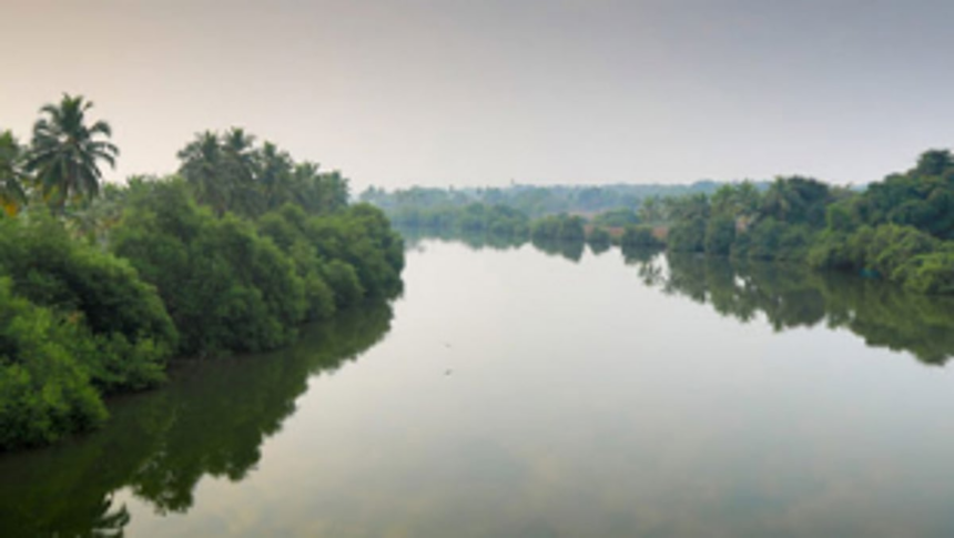 After Cavelossim, Assolna locals vow to oppose River Sal dredging work to protect environment 1 After Cavelossim, Assolna locals vow to oppose River Sal dredging work to protect environment